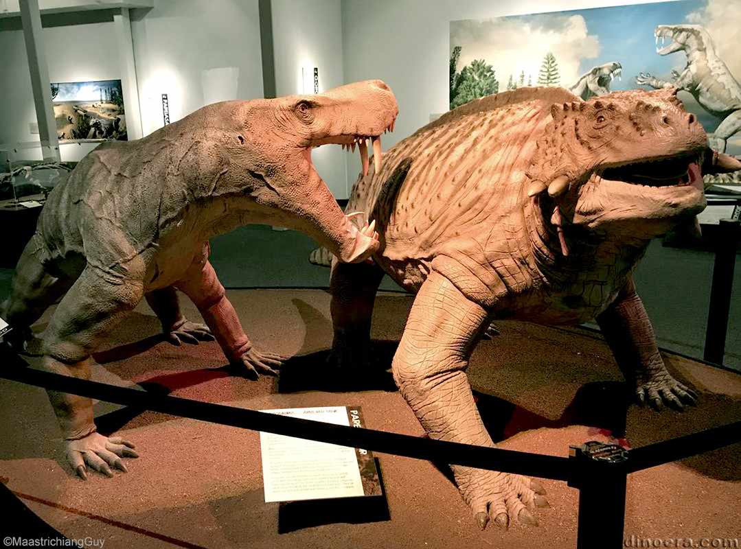 Scutosaurus Inostrancevia