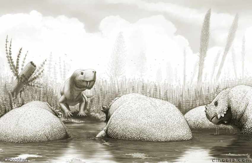 Scutosaurus Inostrancevia
