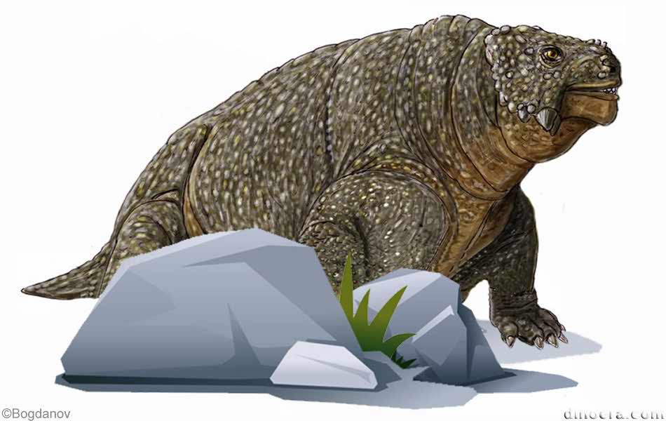 Scutosaurus karpinskii