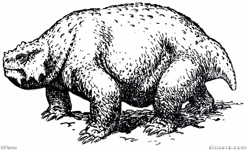 Scutosaurus karpinskii 