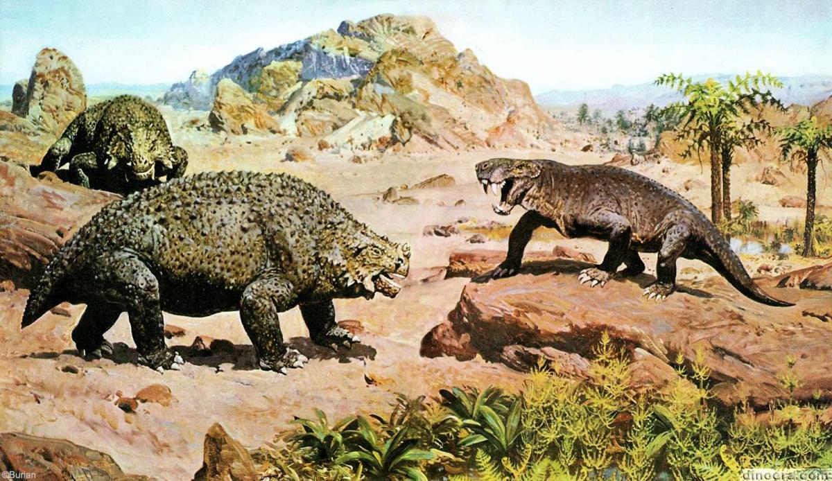 Scutosaurus karpinskii