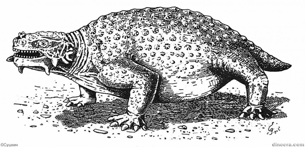 Scutosaurus karpinskii