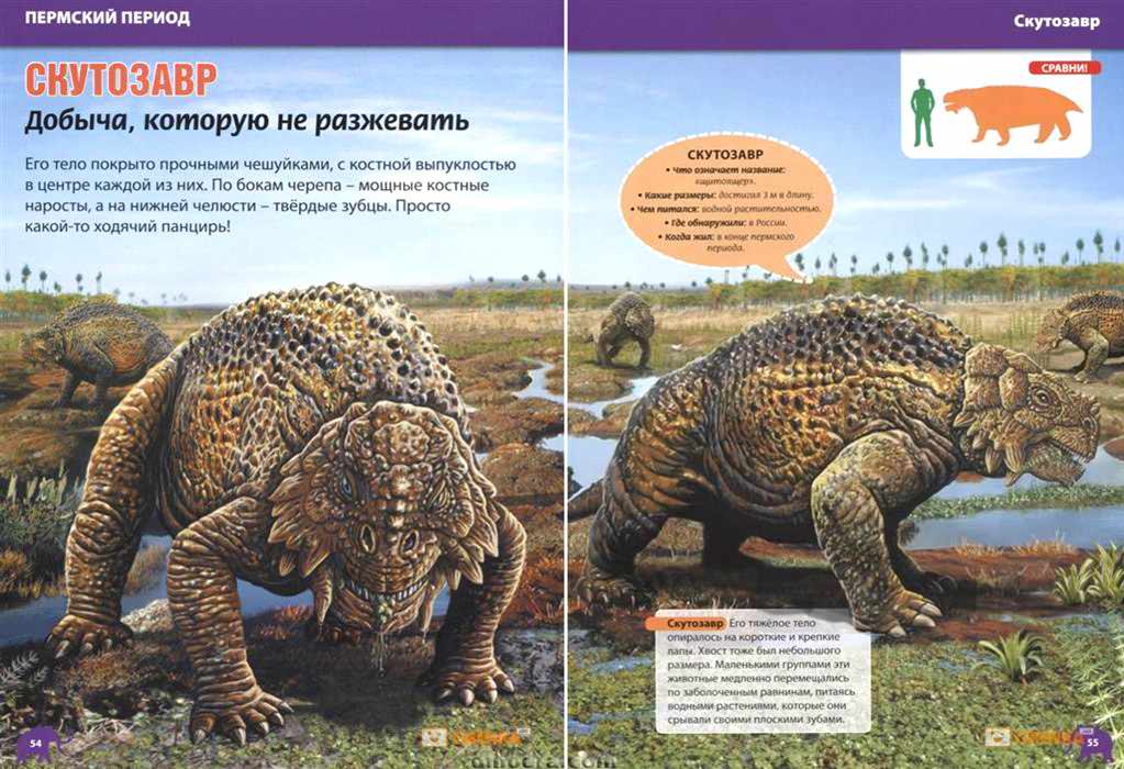 Scutosaurus karpinskii