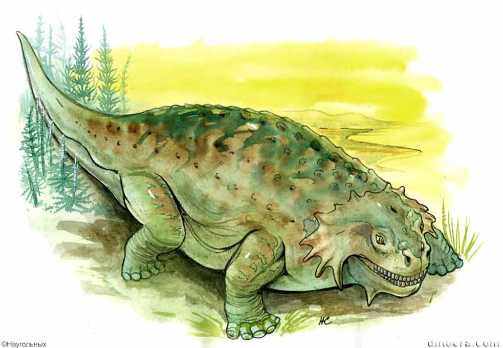 Scutosaurus karpinskii