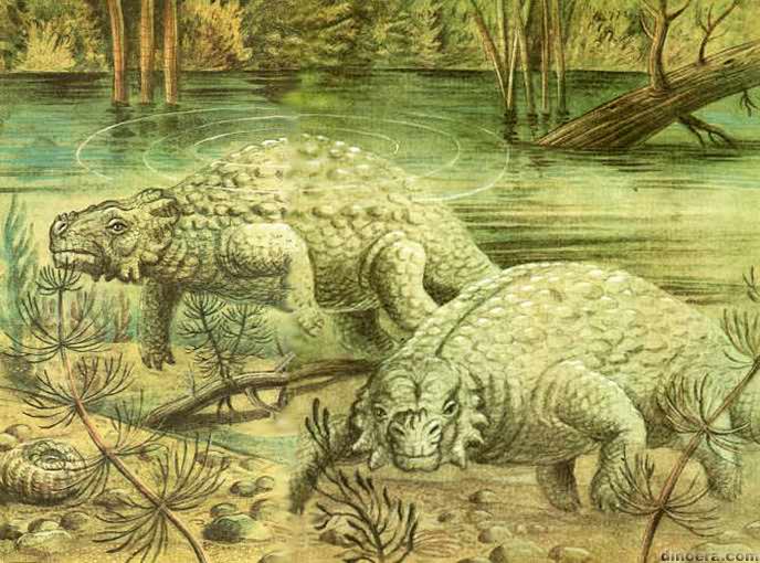 Scutosaurus karpinskii
