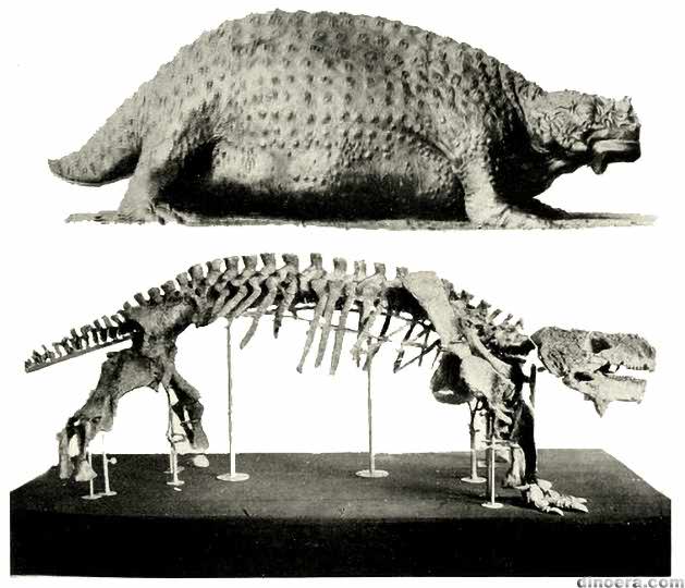 Scutosaurus karpinskii