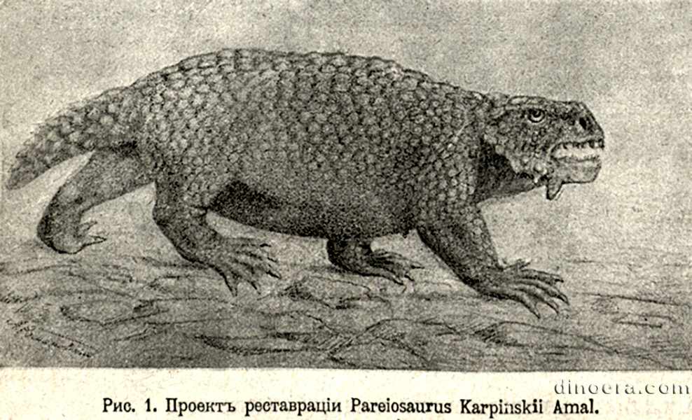Scutosaurus karpinskii
