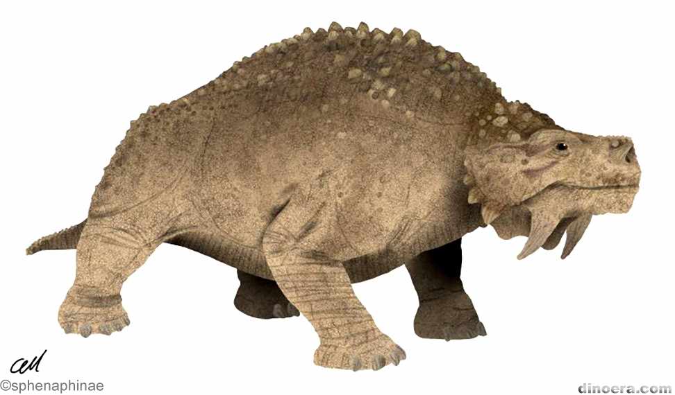 Scutosaurus karpinskii