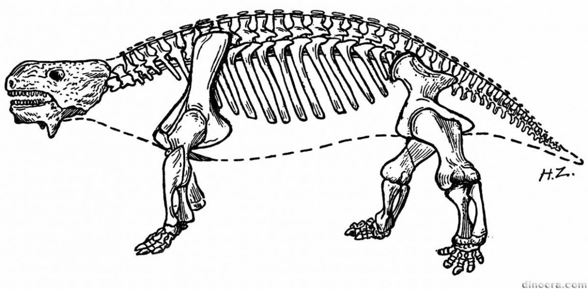 Scutosaurus karpinskii