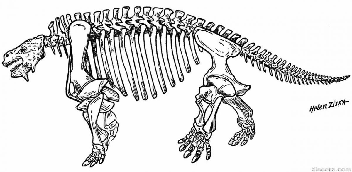 Scutosaurus karpinskii
