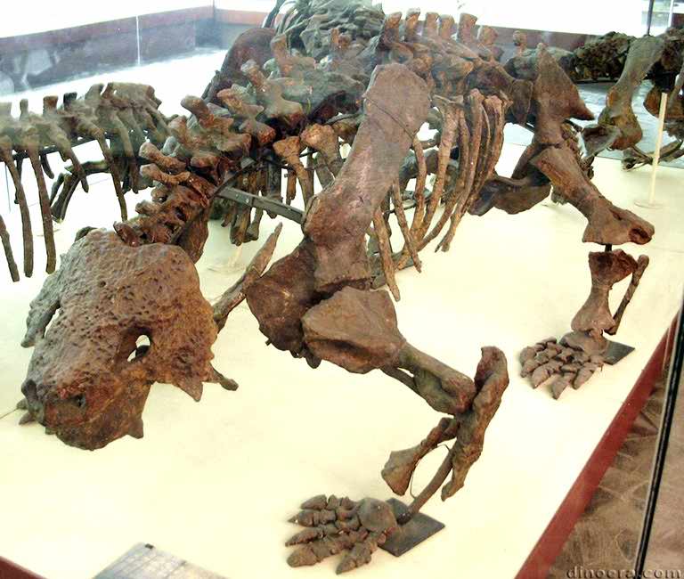 Scutosaurus karpinskii