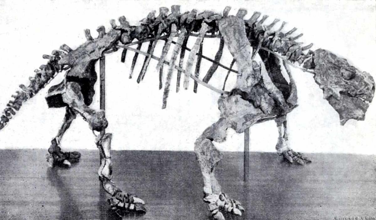 Scutosaurus karpinskii