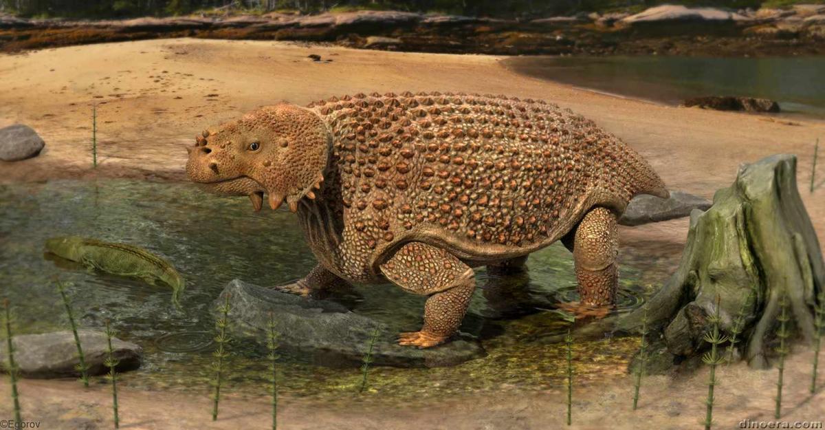 Scutosaurus karpinskii