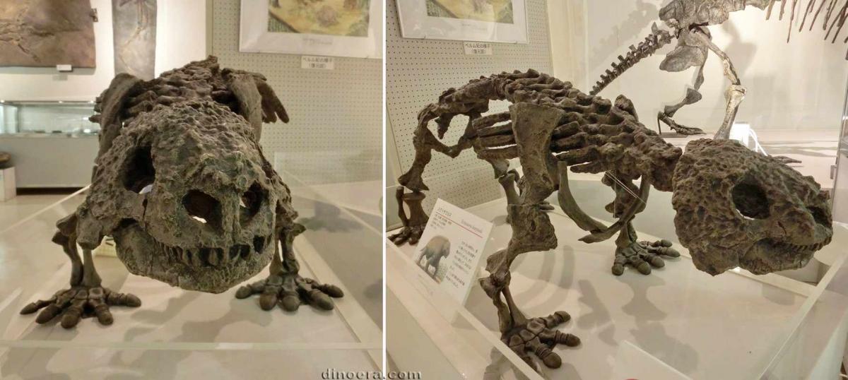 Scutosaurus karpinskii