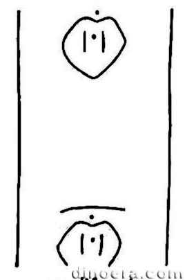 Sigillaria cordiformis 01 cc