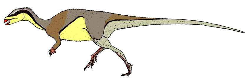 Stormbergia dangershoeki 02 by TheMorlock