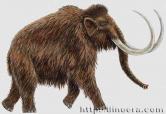 Mammoth