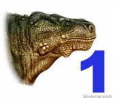 Bradysauridae