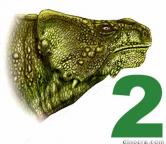 Bradysaurus seeleyi