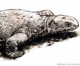Millerosauria