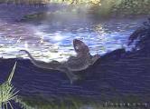 Spondylolestinae 
