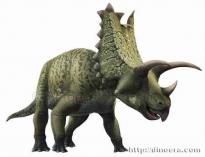 Pentaceratops sternbergii