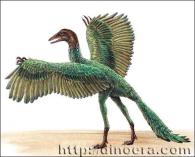 Археоптерикс