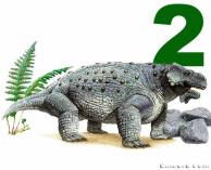 Pareiasaurinae