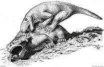 Scutosaurus Inostrancevia