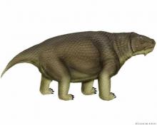 Embrithosaurus schwarzi