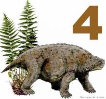 Pareiasuchus nasicornis