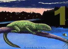 Проколофониды