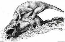 Scutosaurus Inostrancevia