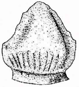 Technosaurus smalli 08 cc