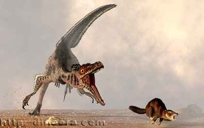Velociraptor_chasing_small_mammal