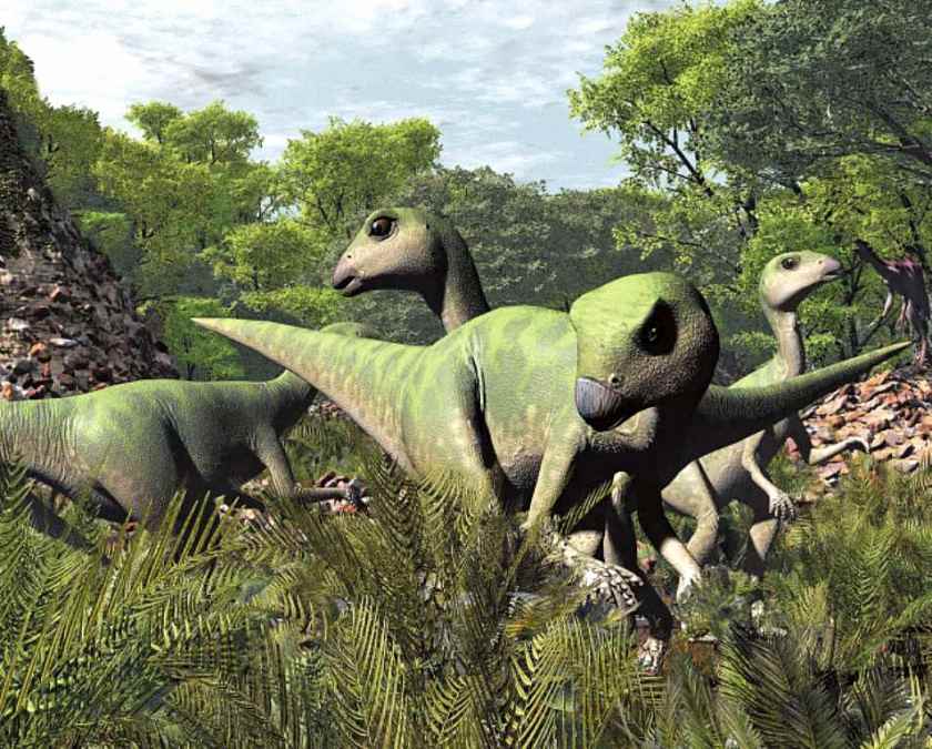 Xiaosaurus 06 cc